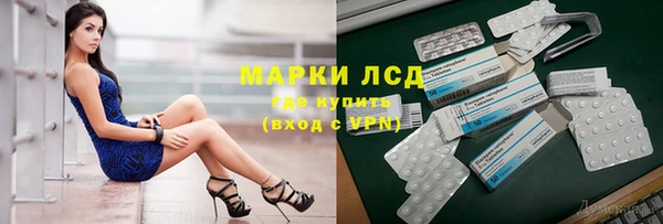 ешки Гусев