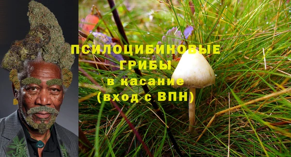 ешки Гусев