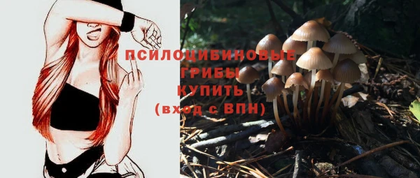 mdma Гусь-Хрустальный