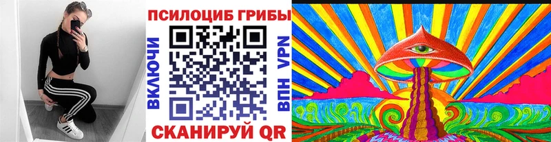 Псилоцибиновые грибы мицелий  Новосокольники 